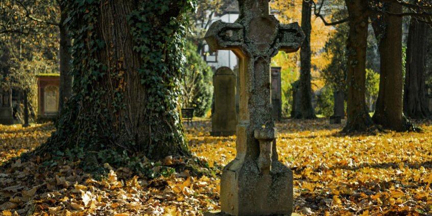 Absolutely Dead Brilliant - Veteran's Outreach Ministries