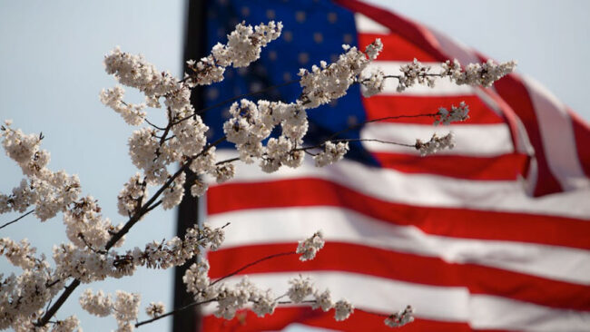 I Am the Flag - Veteran's Outreach Ministries