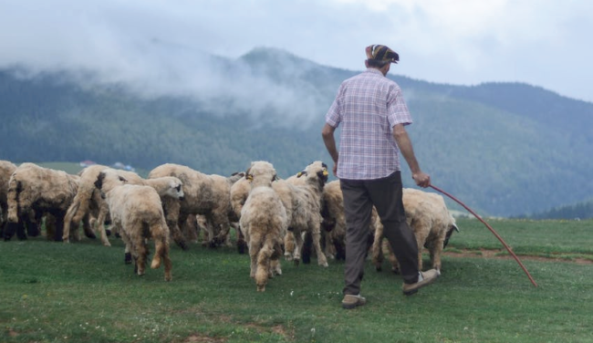 I Know the Psalm, But He Knows The Shepherd - Veteran's Outreach Ministries