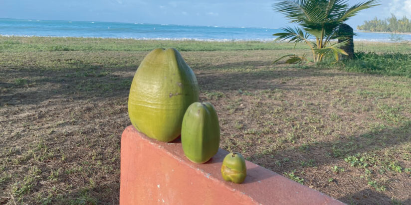 Reflect, Renew, Refuel – Veteran’s Outreach Ministries Reflect, Renew, Refuel - Veteran's Outreach Ministries