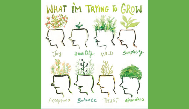 SSpring Wellness - Veteran's Outreach Ministries