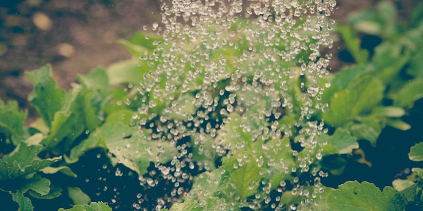 Dealing with Disappointment – Veteran’s Outreach Ministries Dealing with Disappointment - Veteran's Outreach Ministries