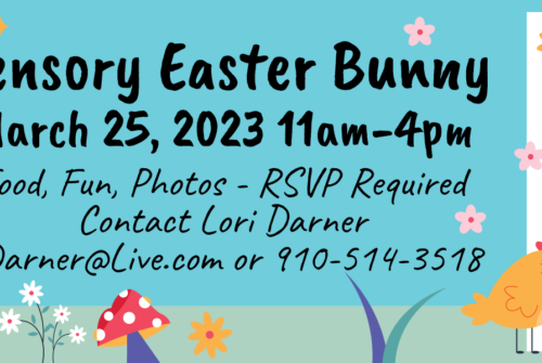 Sensory Easter Bunny - Veterans Outreach Ministries - Delaware