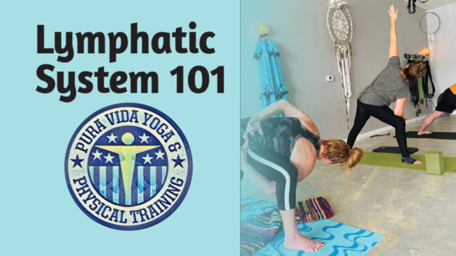 Lymphatic System 101 - Delaware