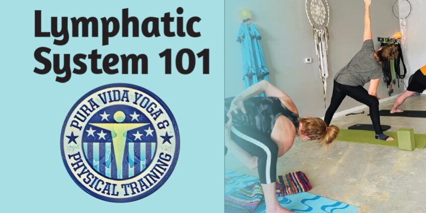 Lymphatic System 101 – Delaware Lymphatic System 101 - Delaware