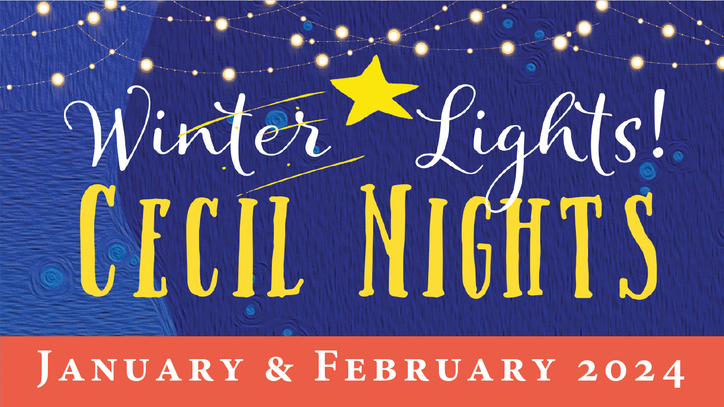 Winter Lights Cecil Nights – Veterans Outreach Ministries – Delaware Winter Lights Cecil Nights - Veterans Outreach Ministries - Delaware