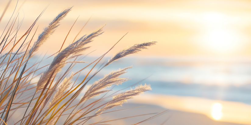 Self-Regulation for a Peaceful Summer - VOM Magazine - Summer 2025