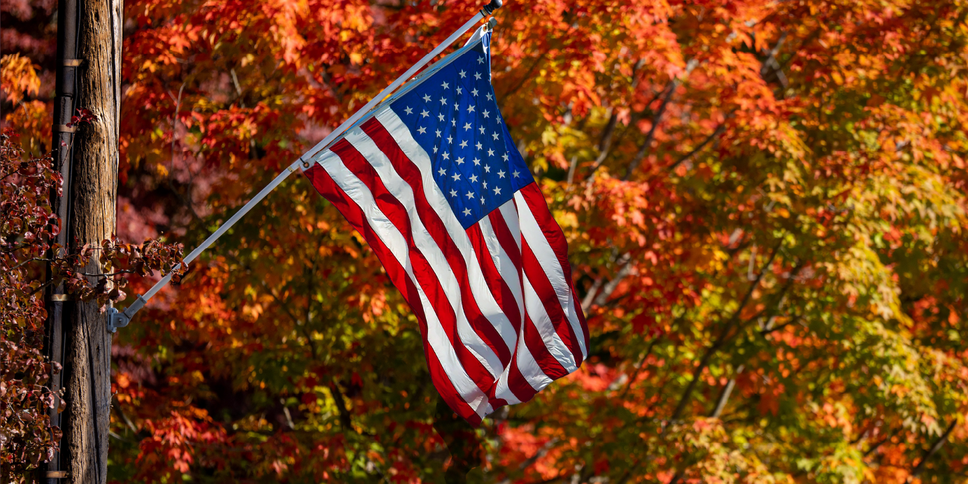 article_FallFlag