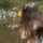 The Benefits of Spending Time in Nature