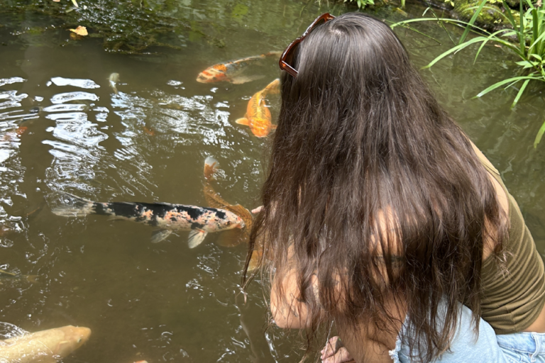 The Benefits of Spending Time in Nature The Benefits of Spending Time in Nature